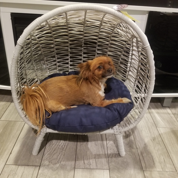 Meet your Posher, Mayra - Picture 6 of 10